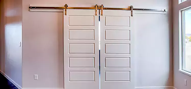 Glass Barn Door with Installation Hardware Kit Paterson