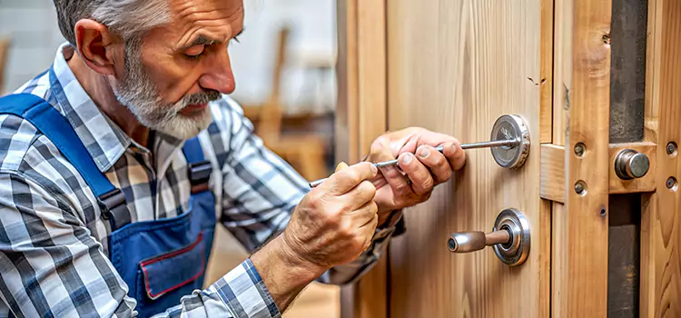 Mortise Replacement Lock Paterson