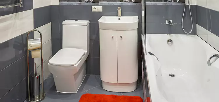 Hansgrohe Shaving Mirror Paterson